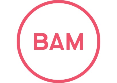BAM Strategy BAM Strategy
